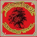 Cover: Blowback - Morning Wood Cover: Blowback - Morning Wood