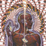 Cover: Tool - Lateralus Cover: Tool - Lateralus