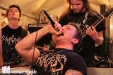 OMBotB 2015