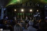 Wise Guys @Tanzbrunnen 2015