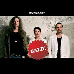 Singvøgel Preview